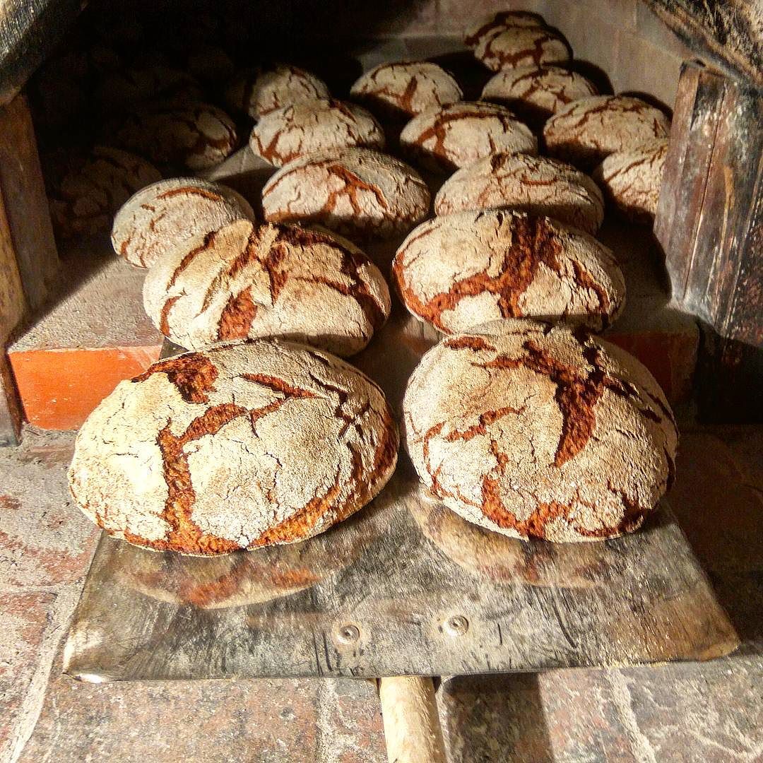 Ржаной цельнозерновой подовый хлеб на закваске